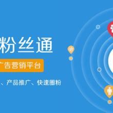 上?；鹚倬W(wǎng)絡(luò)科技股份 數(shù)據(jù)科技領(lǐng)域的技術(shù)服務(wù)先鋒